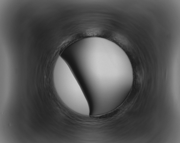 X0000086760308200704130820