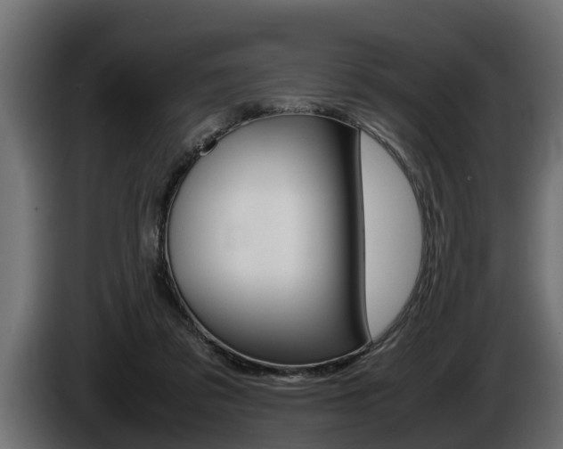 X0000086760309200704130820