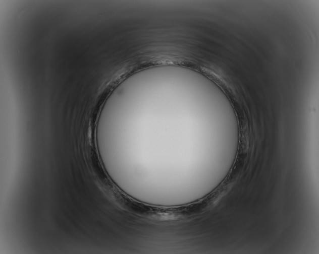X0000086760310200704130820