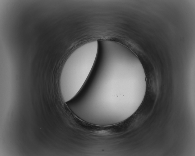 X0000086760312200704130820