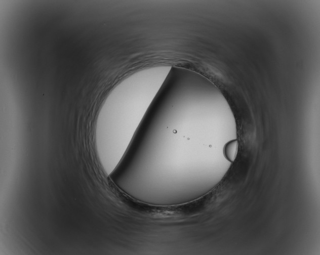 X0000086760315200704130820