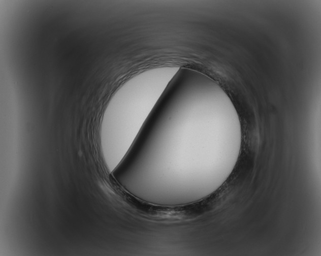 X0000086760319200704130820