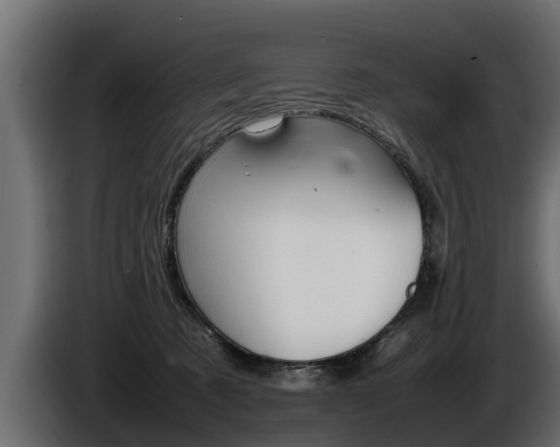 X0000086760321200704130820