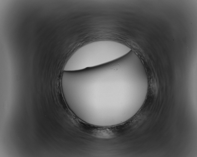 X0000086760322200704130820