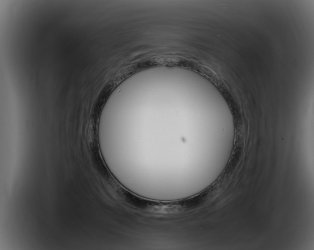 X0000086760323200704130820