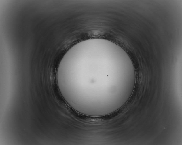 X0000086760324200704130820