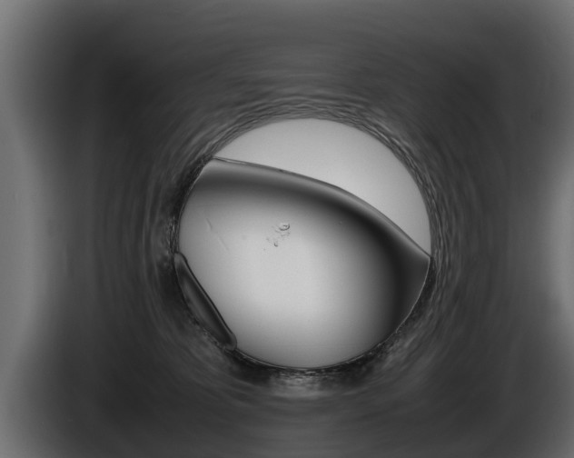 X0000086760325200704130820