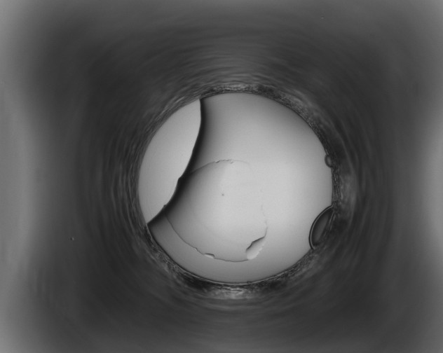X0000086760326200704130820