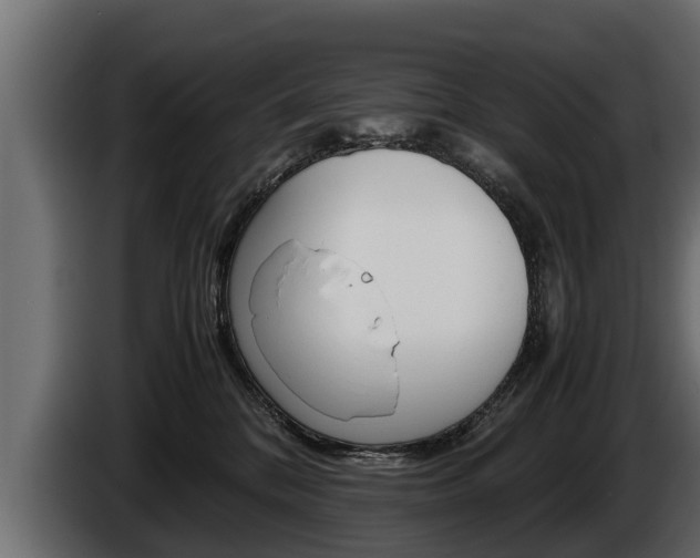 X0000086760328200704130820