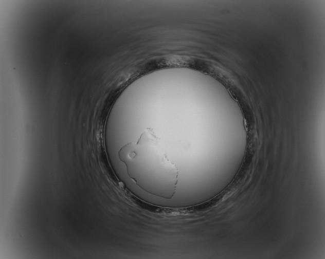 X0000086760329200704130820