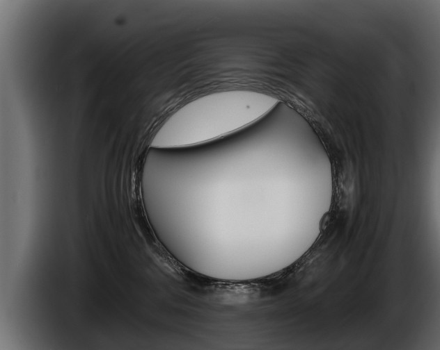 X0000086760330200704130820