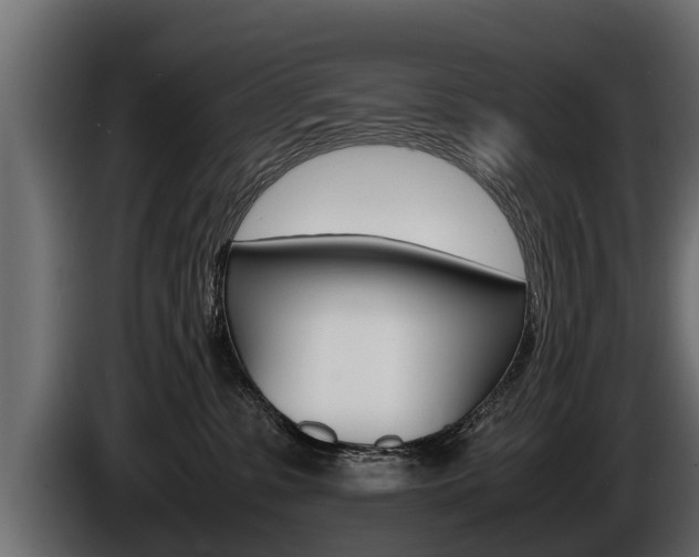 X0000086760331200704130820