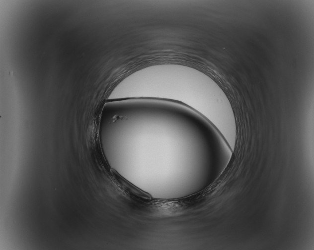 X0000086760333200704130820