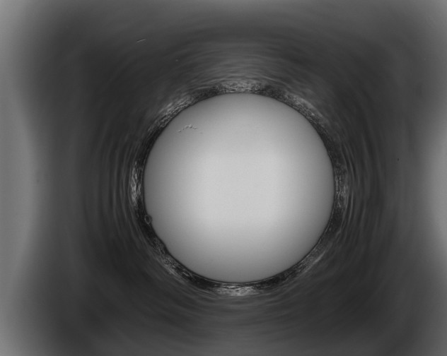 X0000086760334200704130820