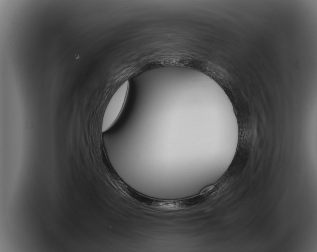 X0000086760335200704130820