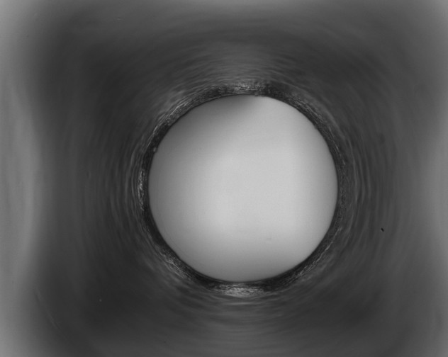 X0000086760336200704130820