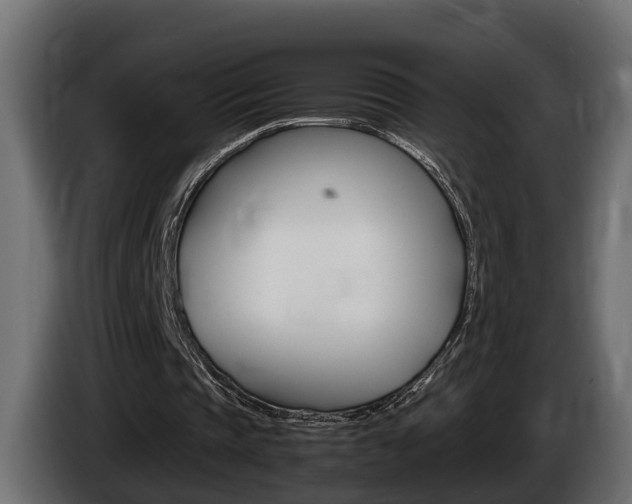 X0000086760337200704130819