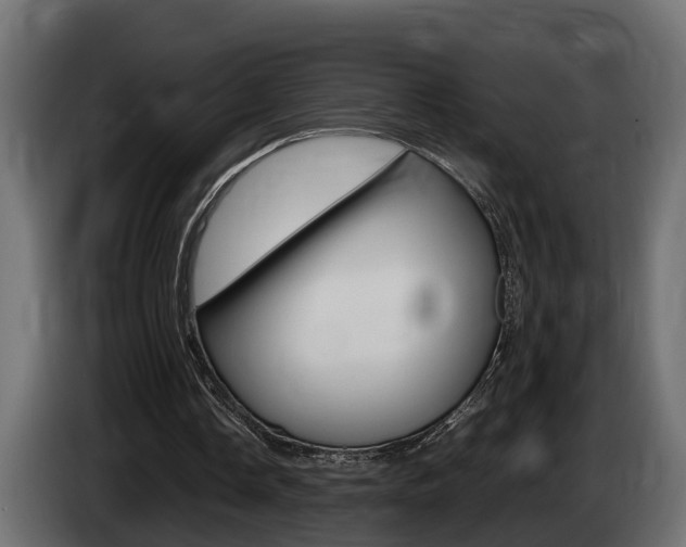 X0000086760338200704130819