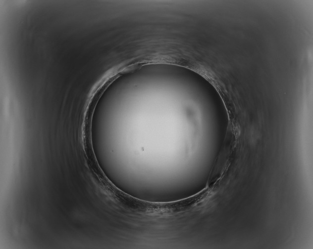 X0000086760340200704130819