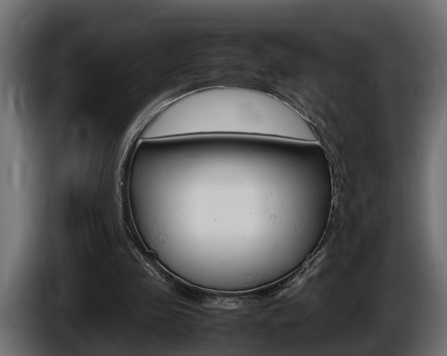 X0000086760341200704130819
