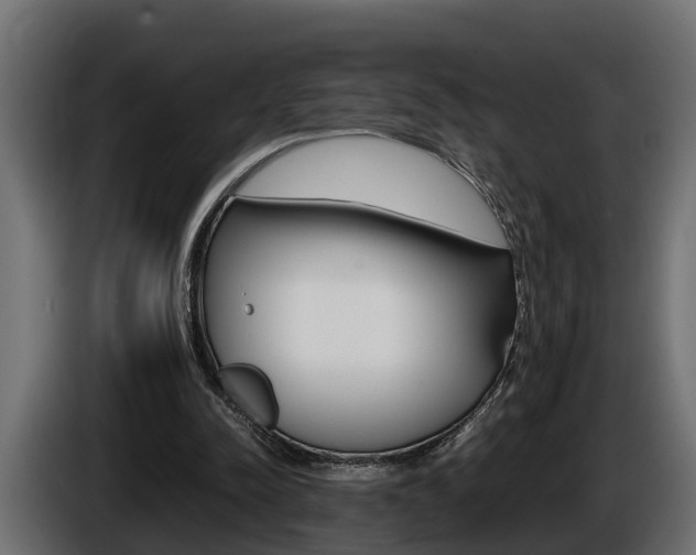X0000086760342200704130819