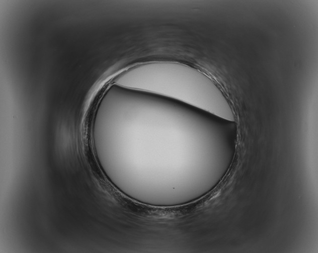 X0000086760343200704130819
