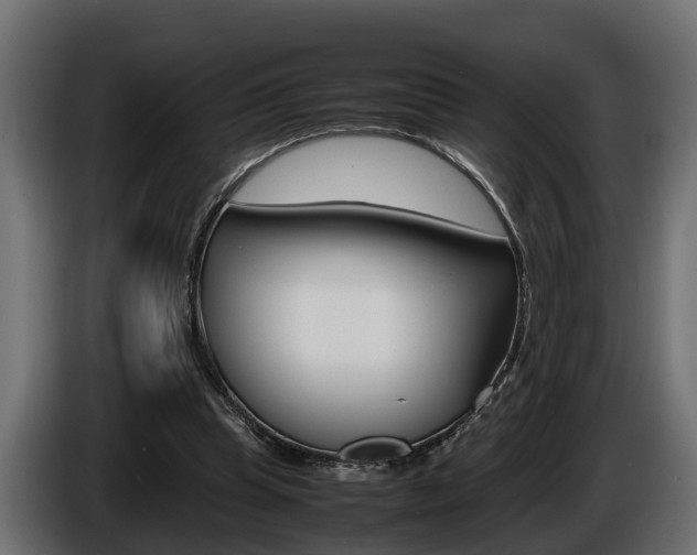 X0000086760345200704130819