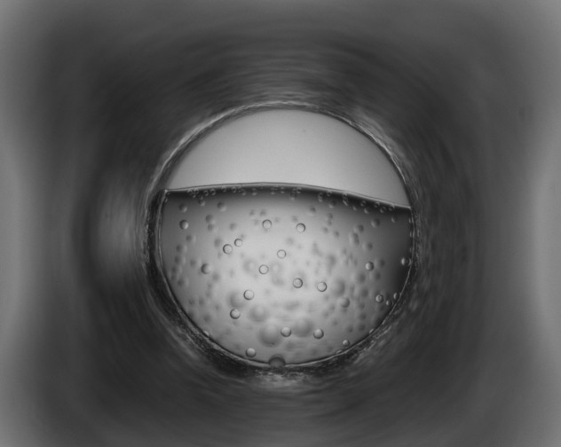 X0000086760346200704130819