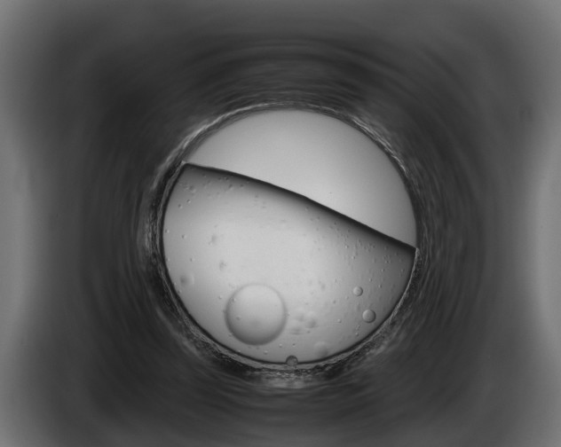 X0000086760347200704130819