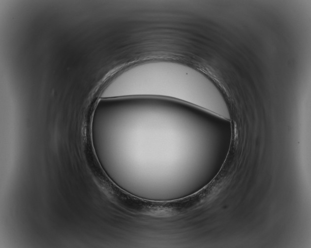 X0000086760348200704130819