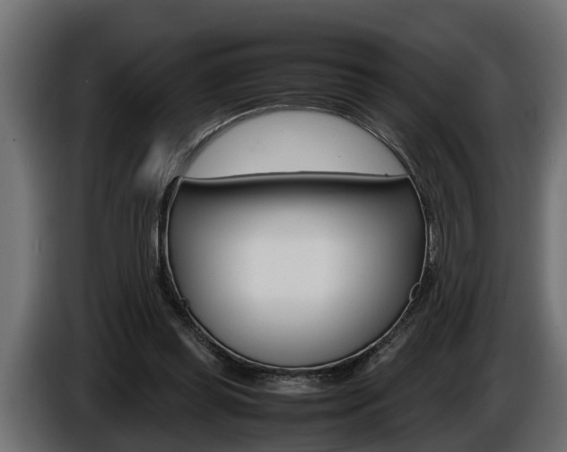 X0000086760349200704130819