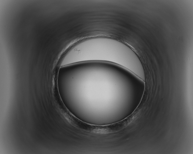 X0000086760350200704130819