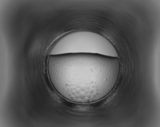 X0000086760351200704130819