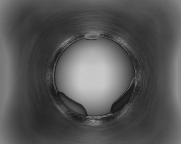 X0000086760352200704130819