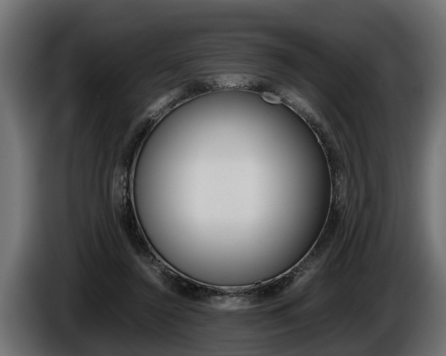 X0000086760356200704130819