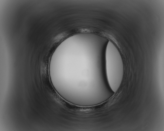 X0000086760357200704130819