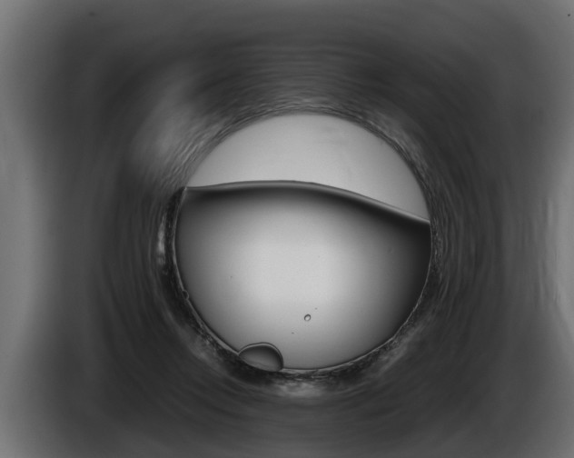 X0000086760358200704130819