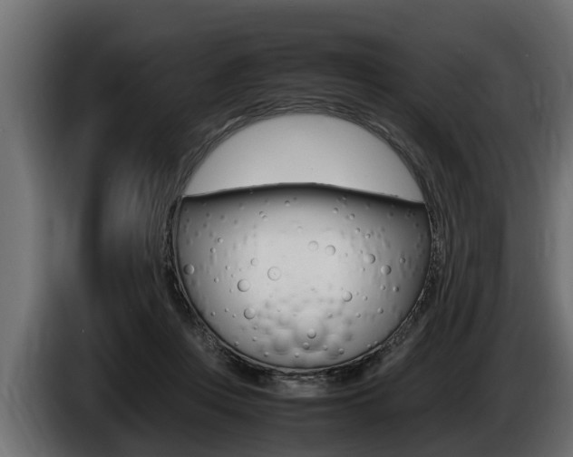 X0000086760359200704130819