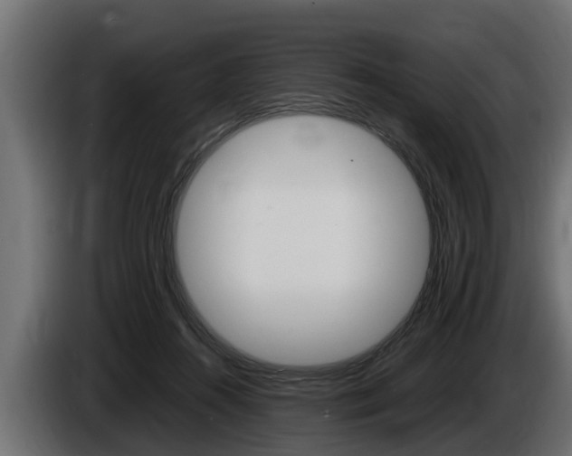 X0000086760360200704130819