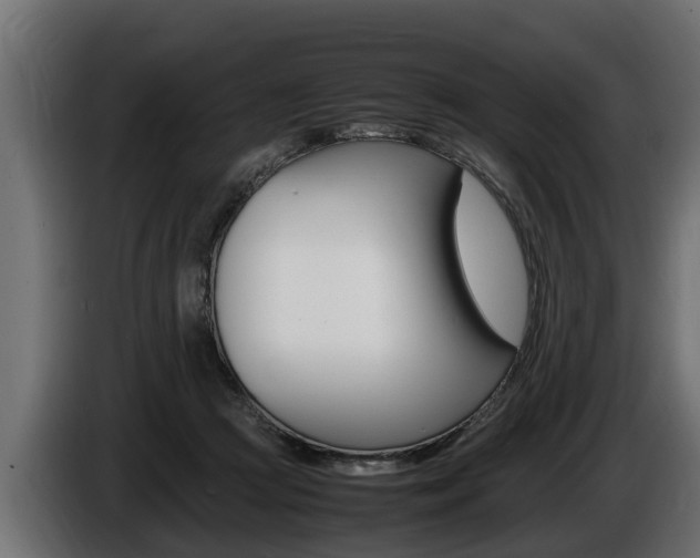 X0000086760361200704130819