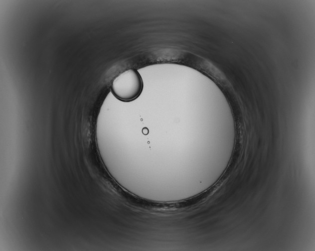 X0000086760362200704130819
