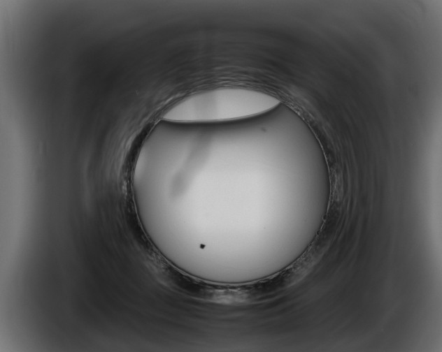 X0000086760363200704130819
