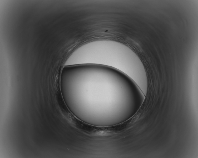 X0000086760364200704130819