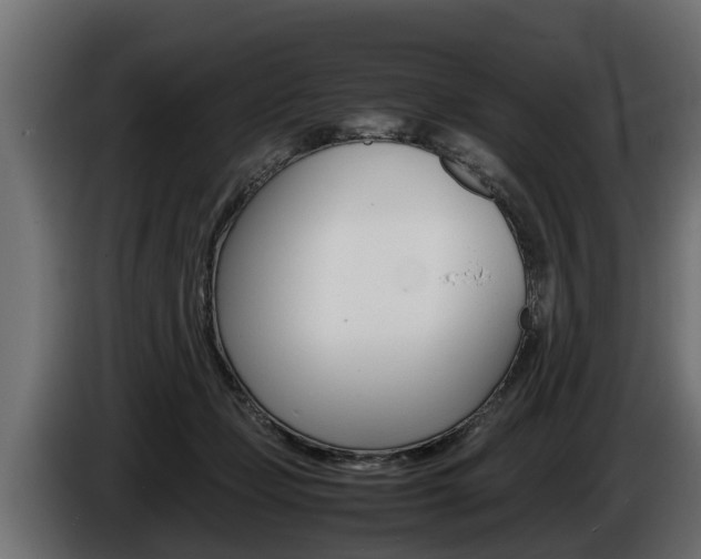 X0000086760365200704130819