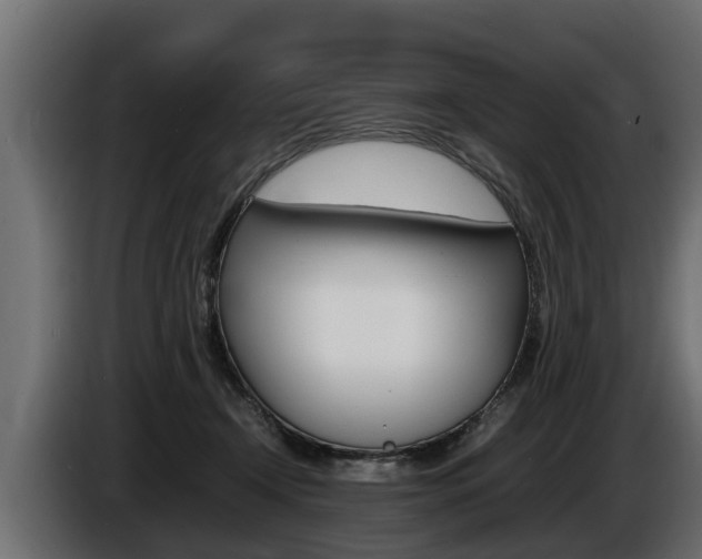 X0000086760366200704130820
