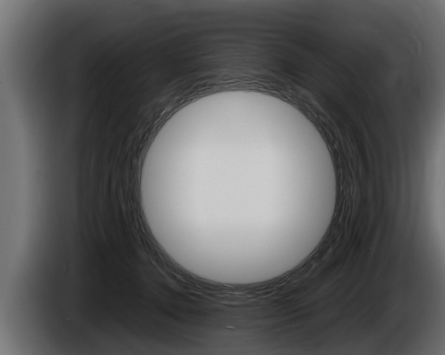 X0000086760368200704130820