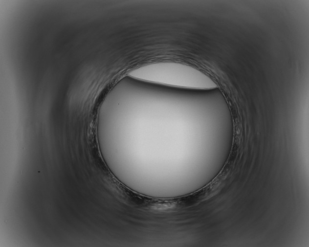 X0000086760369200704130820