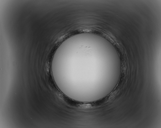 X0000086760374200704130820