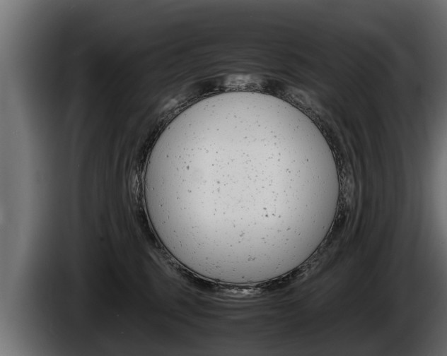 X0000086760375200704130820