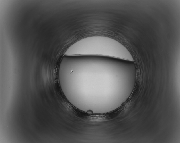 X0000086760378200704130820